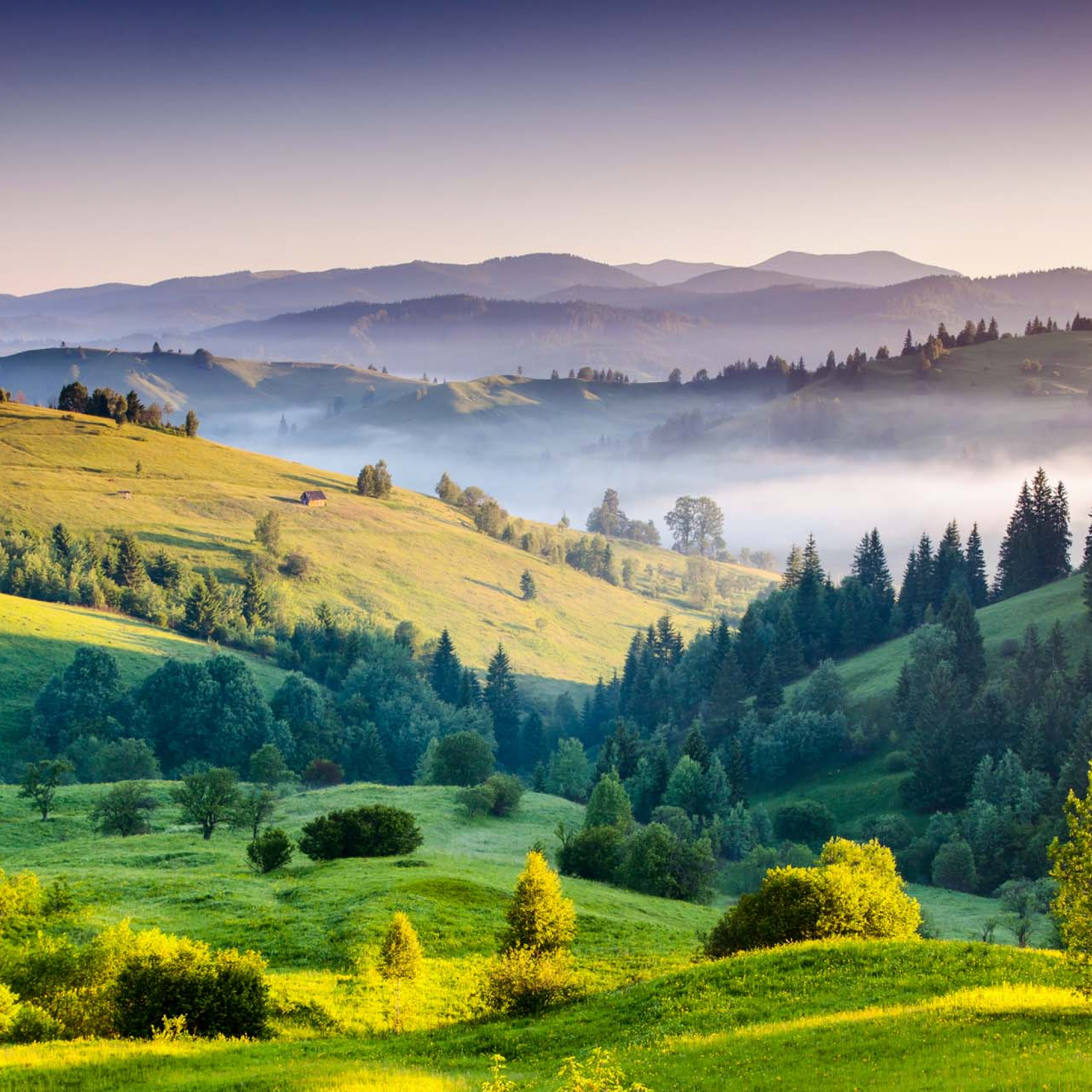 primo paesaggio