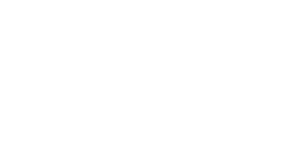 logo main